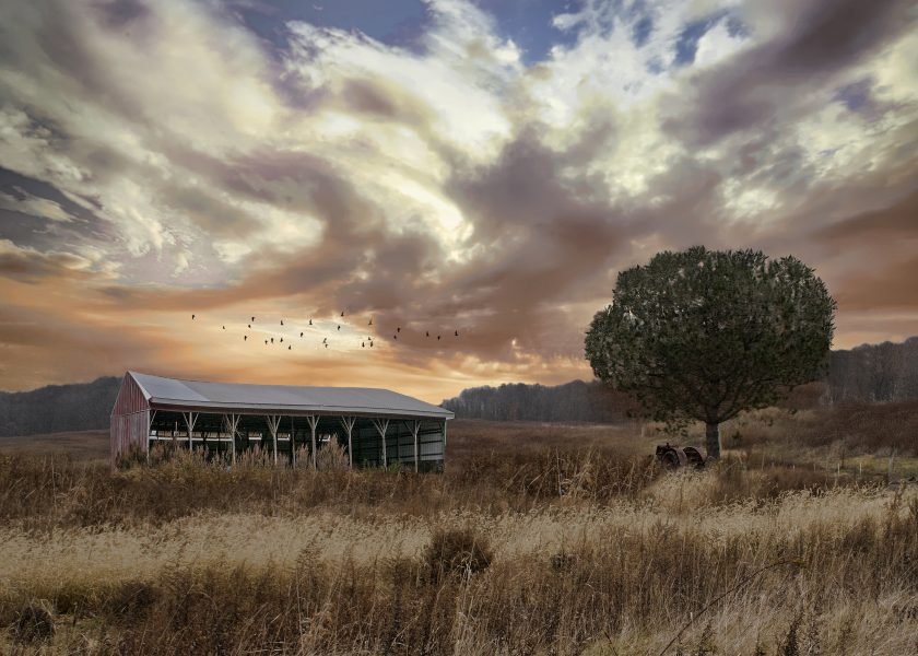 Remnants of what once was a dairy farm.