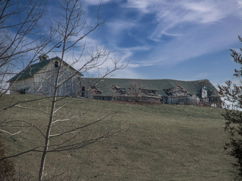 Abandoned Barn, Durham CT